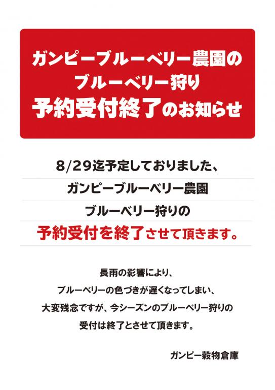 ブルーベリー狩り 予約受付終了のお知らせ | スーパーマーケット・ガンピー