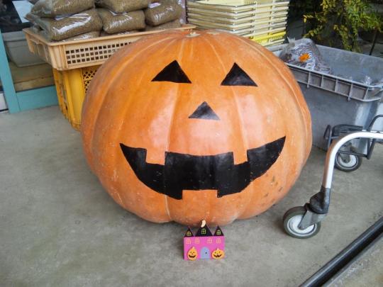 ハッピー♪ハロウィン