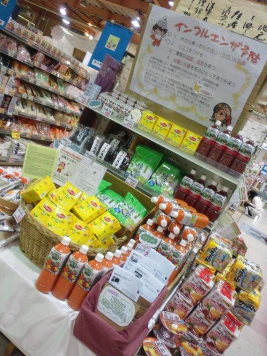 ガンピーインフルエンザ予防コーナー
