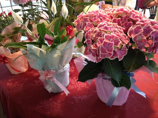 鉢物のお花のラッピング
