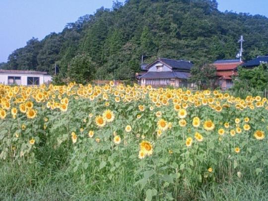 但東町です