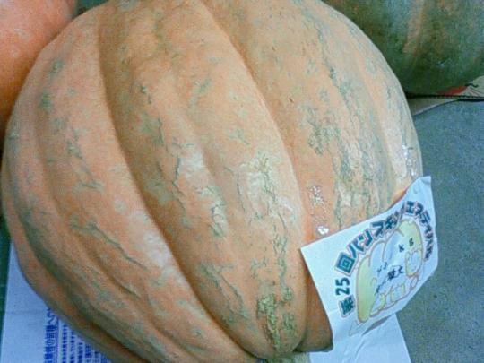 大きさはいろいろ
