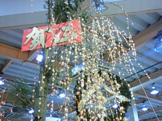高く見上げてね