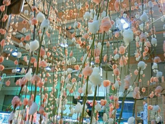 桜を思い出す・・・