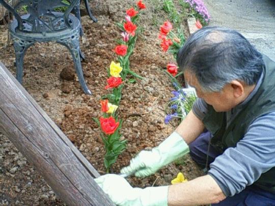 原田さんが植えて下さいました