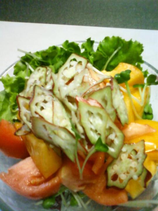 今日はサラダに・・・