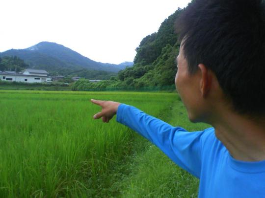 太陽と大地の恵み