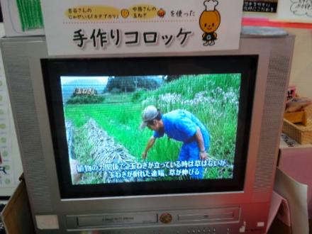 お惣菜コーナー　手作りコロッケ