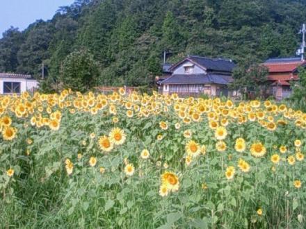 但東町です