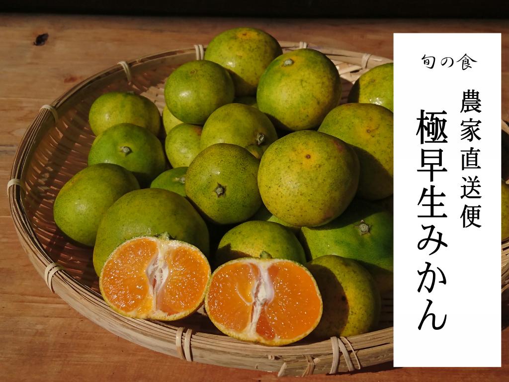 農家直送　鮮度抜群！！♡早生みかん♡ 7f08807e2844b6b5a0ee5114a26bd3